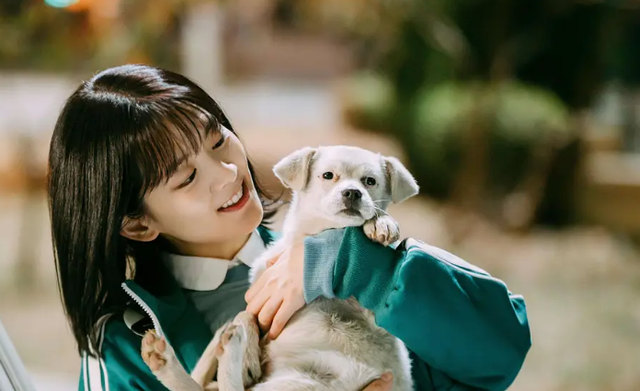 电视剧循环初恋百度云全124集网盘已完结1080p国语完整共享