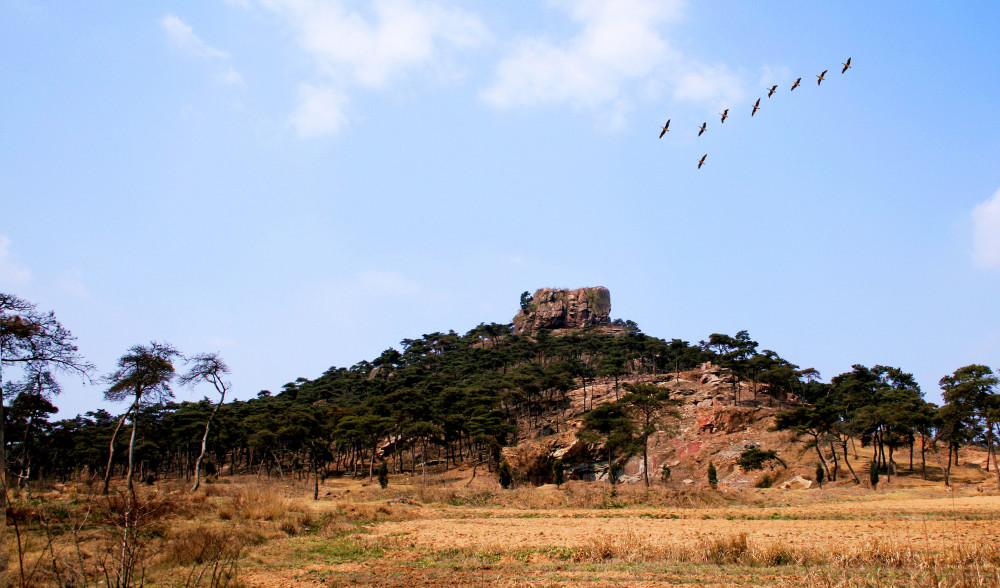 他们,长眠于安峰山这片长满庄稼的沃土上,所有的故事被砌进那耸入云空