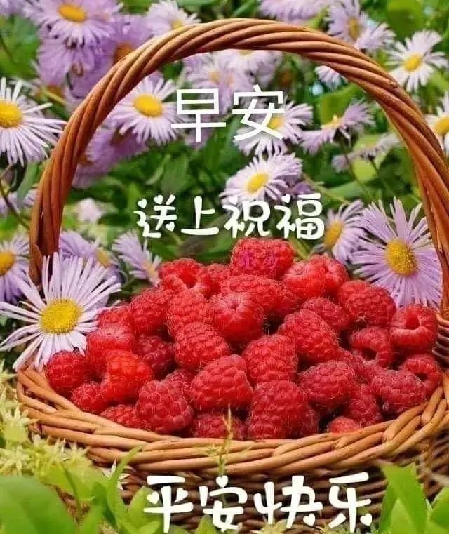 早上好朋友最新漂亮早上好問候圖片大全早上好溫馨的早安祝福文字語句