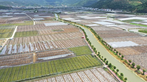 溫州6-7月最美(最髒)田園評選結果出爐