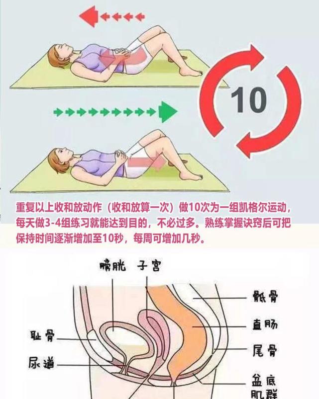 凯格尔运动全方位教程最实用的产后盆底肌修复指南