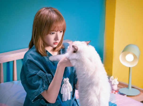 最受欢迎的歌手排行榜_明星排行榜_十大明星排行榜_影视明星排行榜_人气明星排行榜_最受欢...