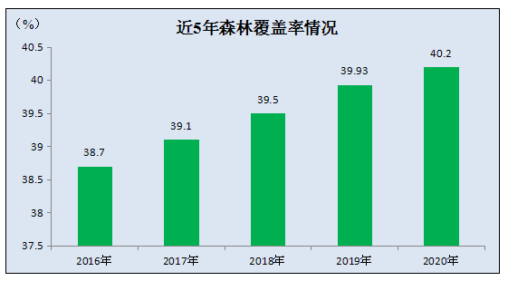 美国森林覆盖率2020图片