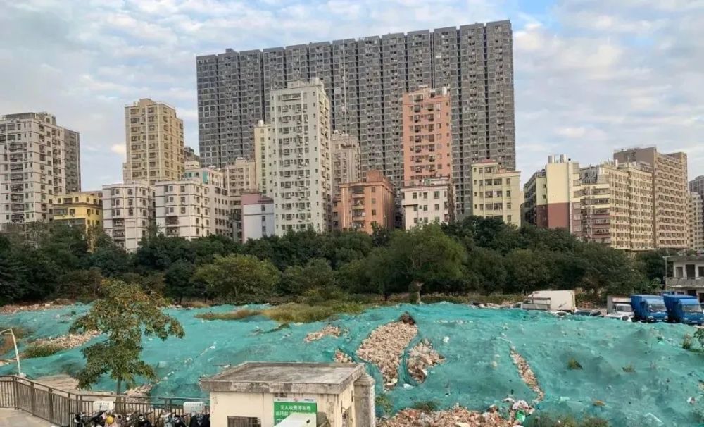 龙华旧改大全一次性看完附效果图