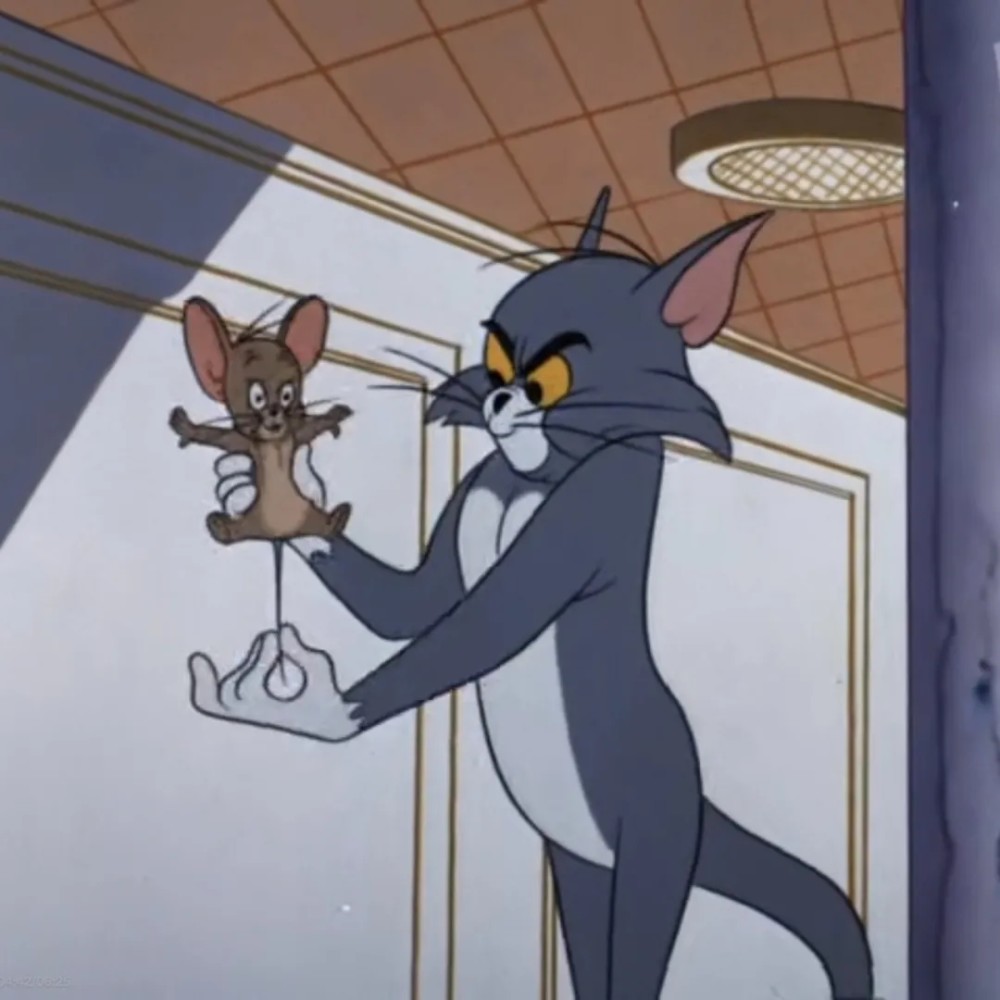 猫和老鼠精选头像