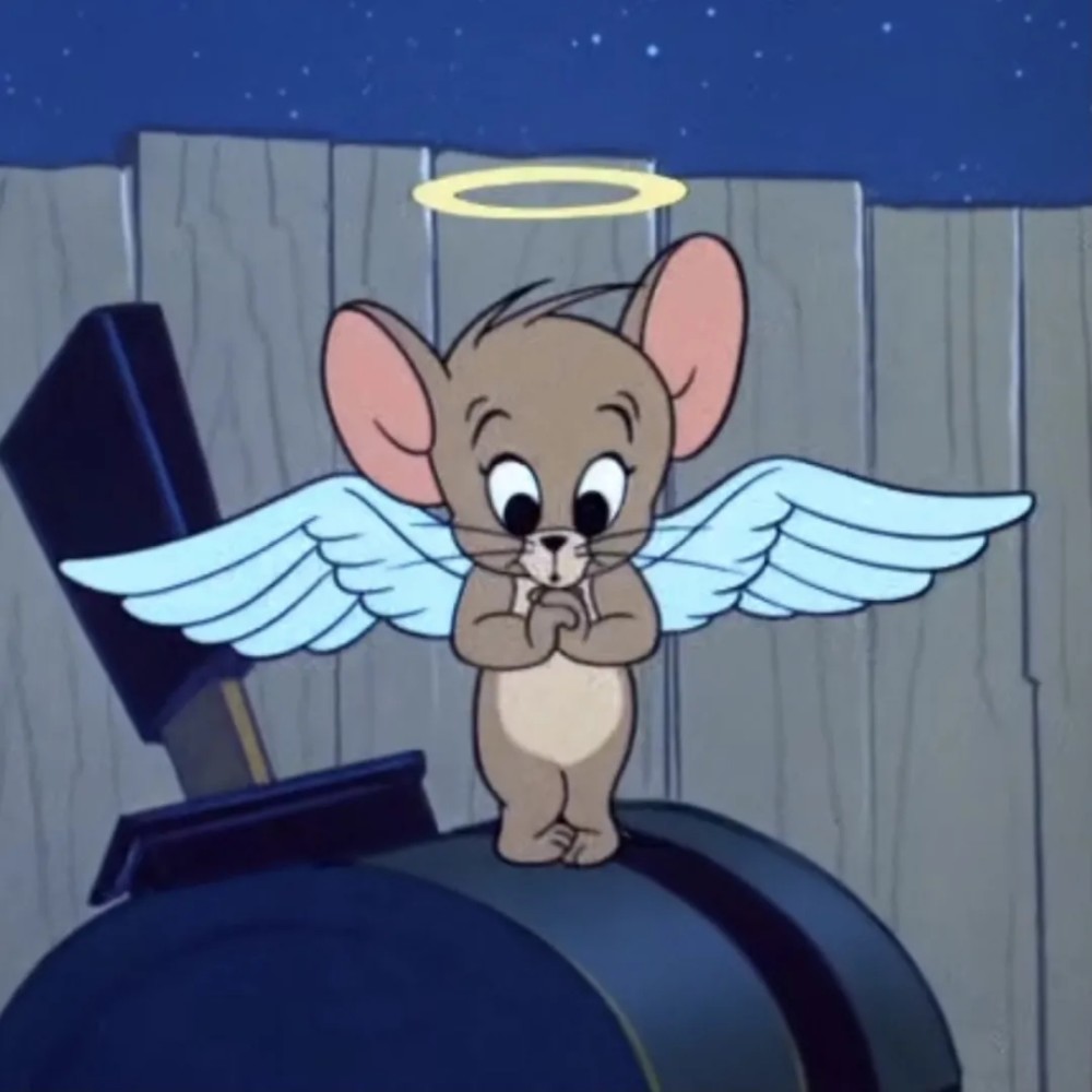 猫和老鼠精选头像