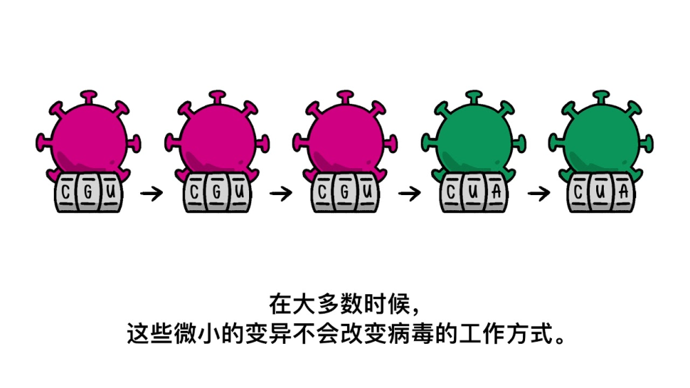 新冠病毒变化过程图片