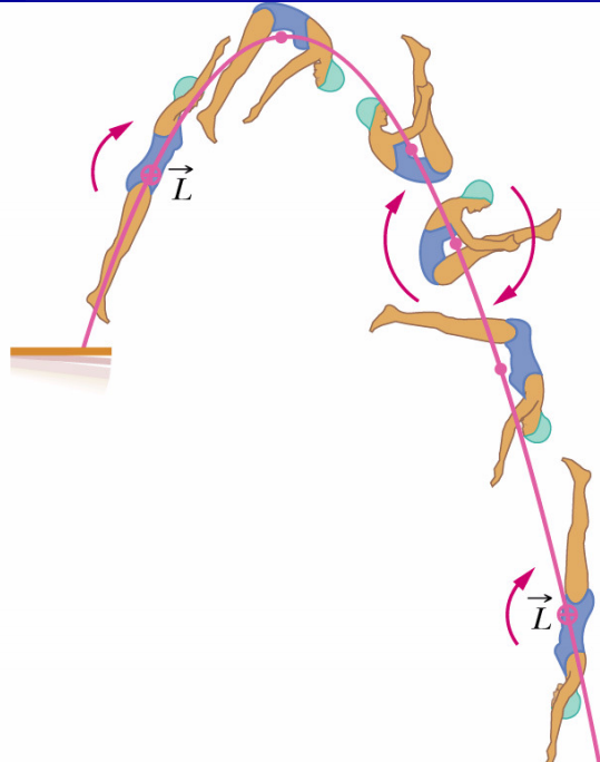 跳水运动员为啥总做这个姿势