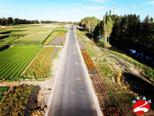 临泽县蓼泉镇:多举措谱写乡村振兴新篇章|临泽县|蓼泉镇