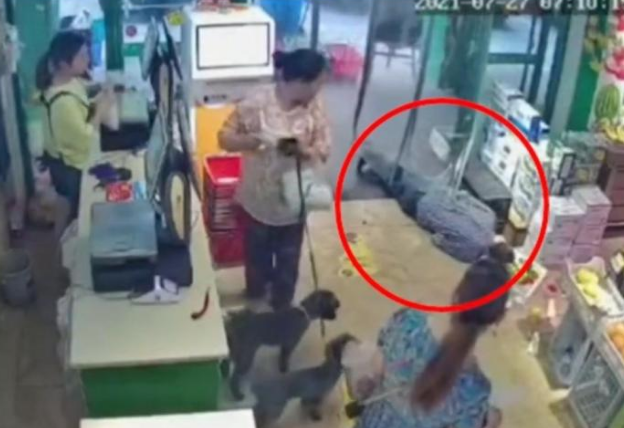图片关键词