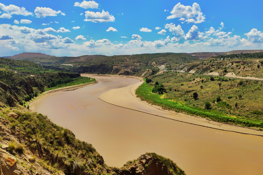 当黄河汇入渤海后,"含盐量"会骤然升高,河里的鱼儿怎么办?