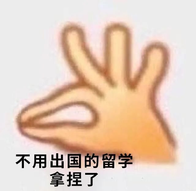 4＋0 II 沈阳师范大学国际商学部正在招生！