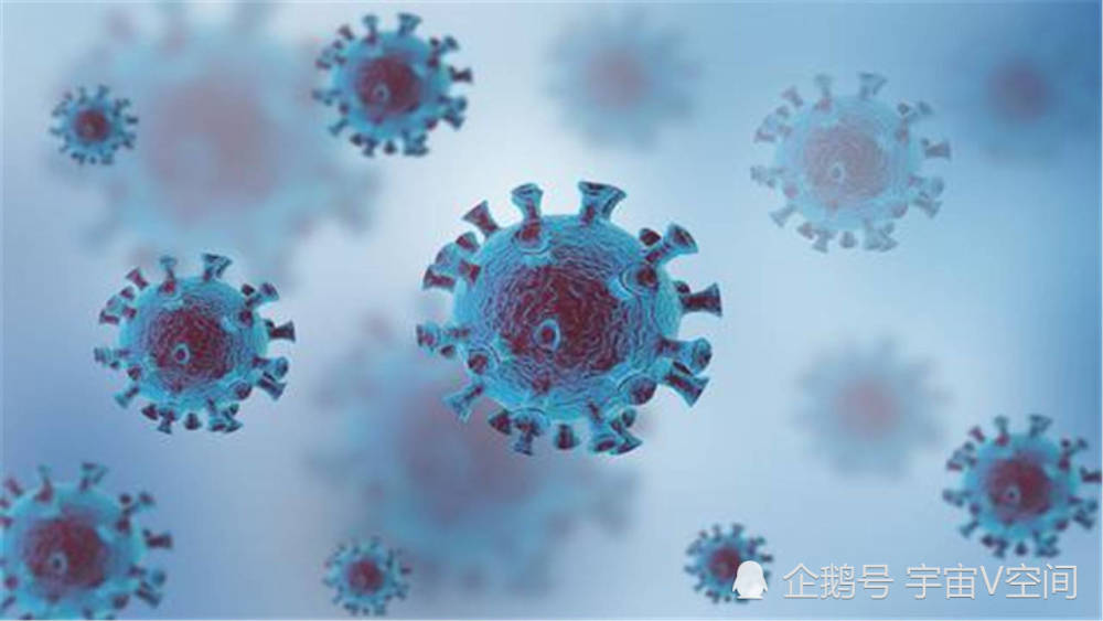 阿尔法德尔塔 世卫组织为何要以希腊字母 为新冠变种病毒命名 腾讯新闻