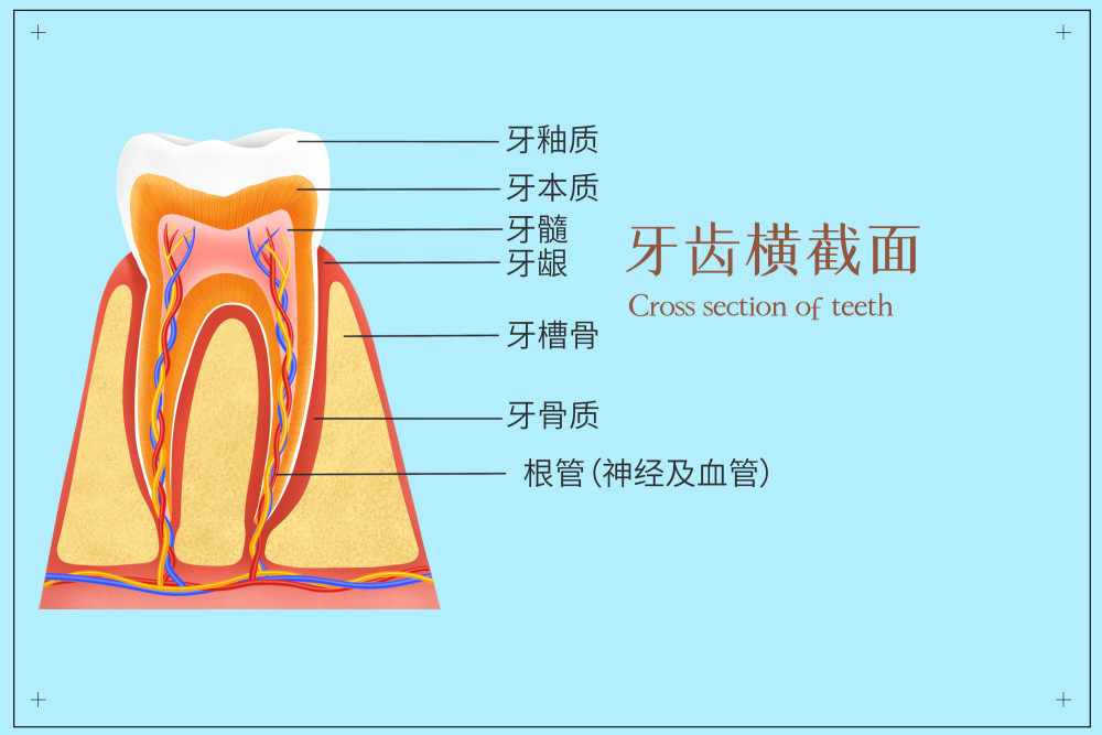家长们一定要看!
