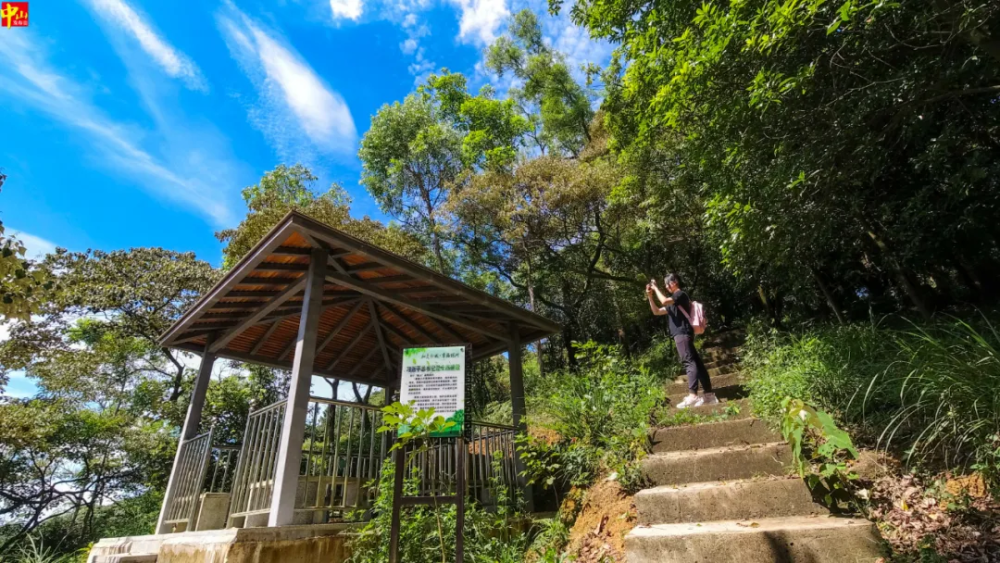 tielu mountain forest park鐵爐山森林公園the dajian mountain