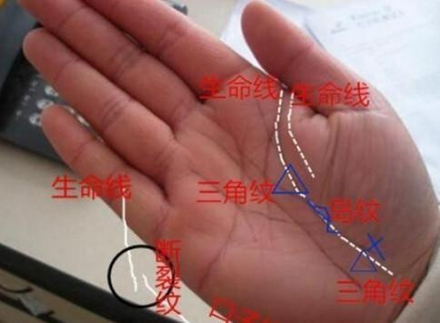 三角纹出现在生命线虽是不好征兆但最终都会逢凶化吉