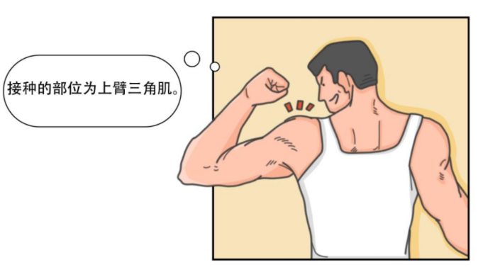 战"疫"进行时|新冠疫苗接种小知识请查收