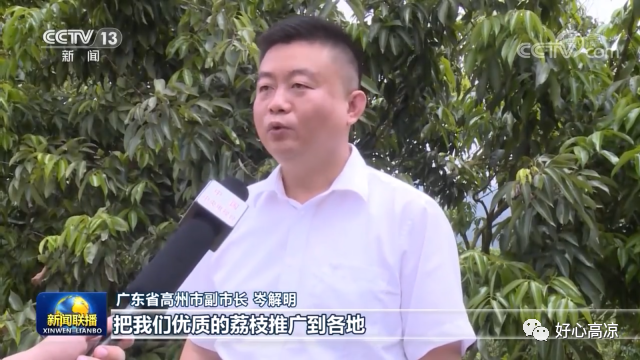 高州市副市长岑解明说:"我们在销售端发力,把我们优质的荔枝推广到