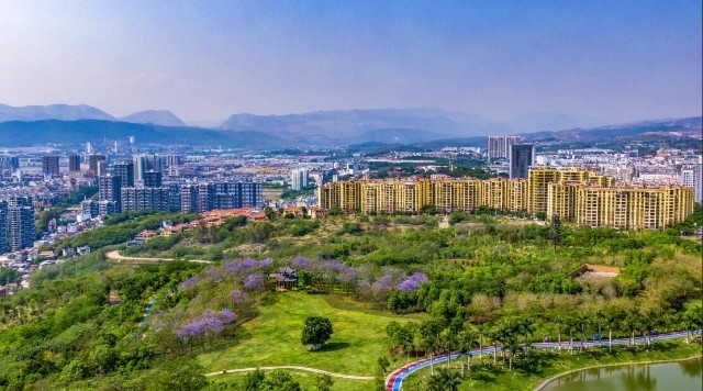 打好绿色牌开远从根到枝到面都在变绿