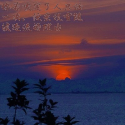 最聪明的处世之术是既对世俗投以白眼又与其同流合污文案治愈天空