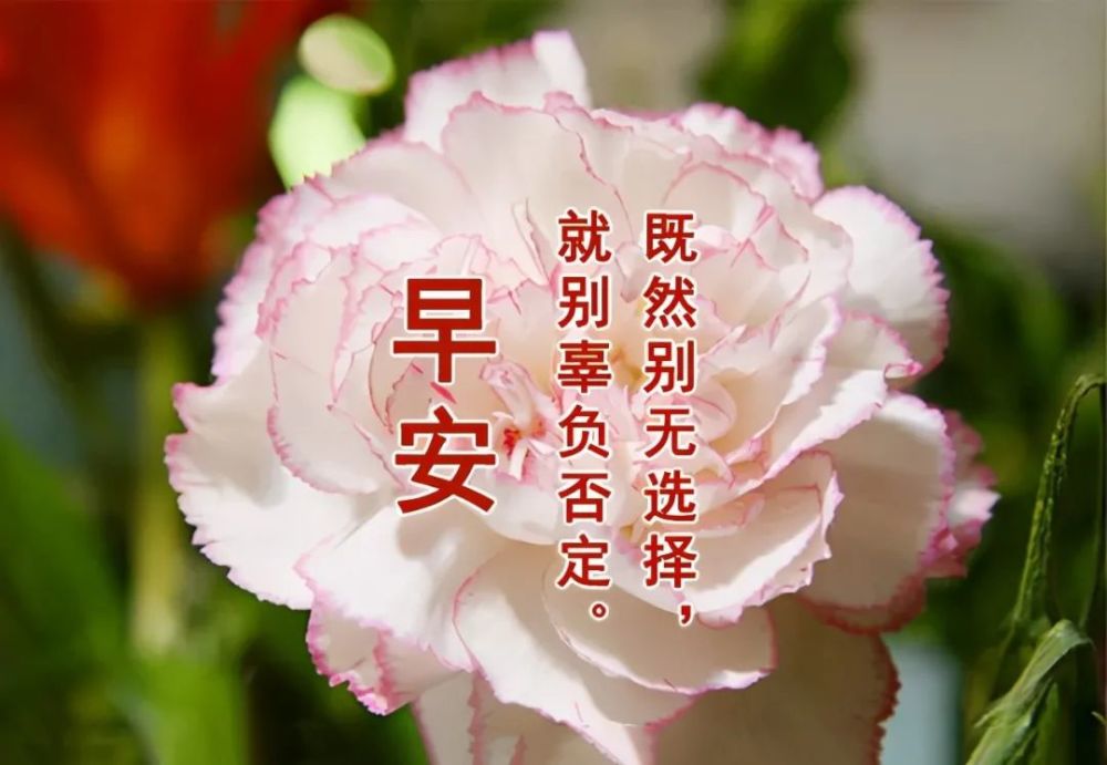 早上好朋友最美早安问候祝福语加动态漂亮图片祝你天天好心情