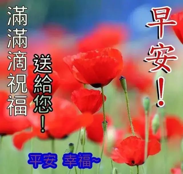 早上好朋友早安問候祝福語圖片帶字溫馨清晨好漂亮的早安動態表情圖片