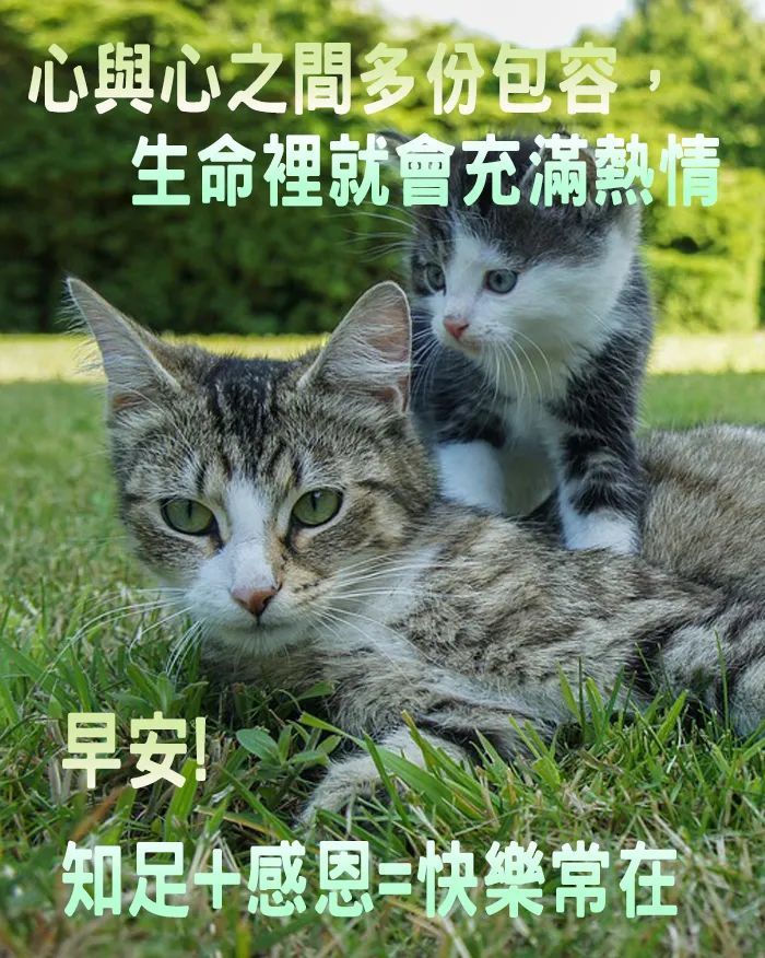 早上好图片带字 早上好问候语及关心话_腾讯新闻