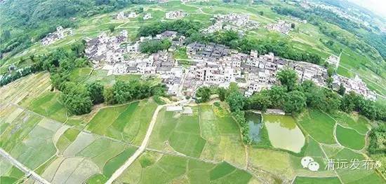 陽山縣太平鎮白花村村中進行了土地整合.資料圖