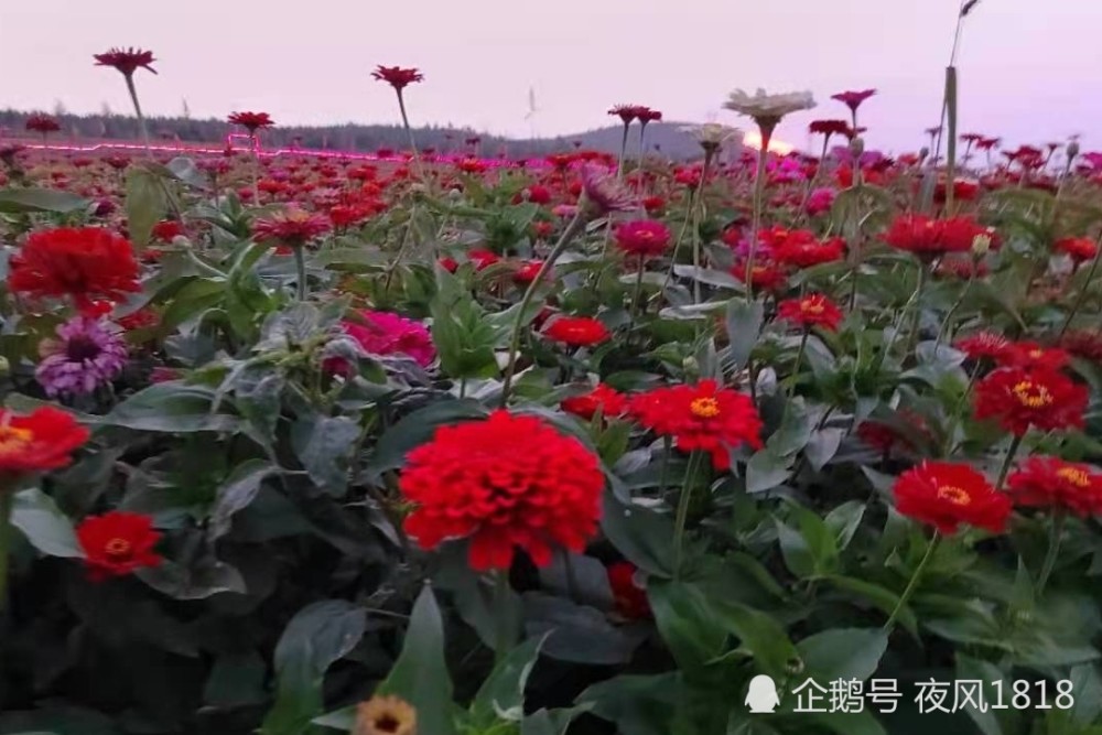 记内蒙古赤峰林西县东山公园