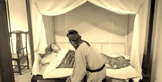 古诗词文赏析之乐府诗妇病行佚名