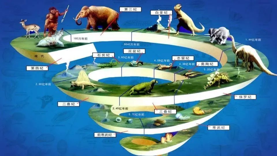已被认定的生物进化论为何如今再次被质疑?这几个原因你认同吗?