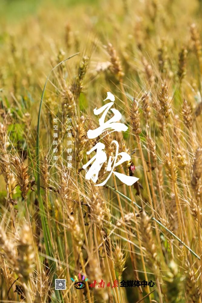 今日,立秋_腾讯新闻