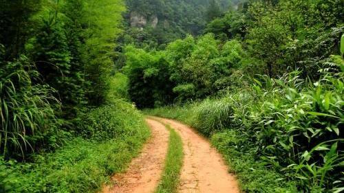 山下兰芽短浸溪,松间沙路净无泥.萧萧暮雨子规啼.