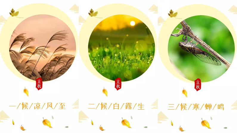 古人根据对大自然的观察,将"立秋"分为三候:747474立秋三候盛夏