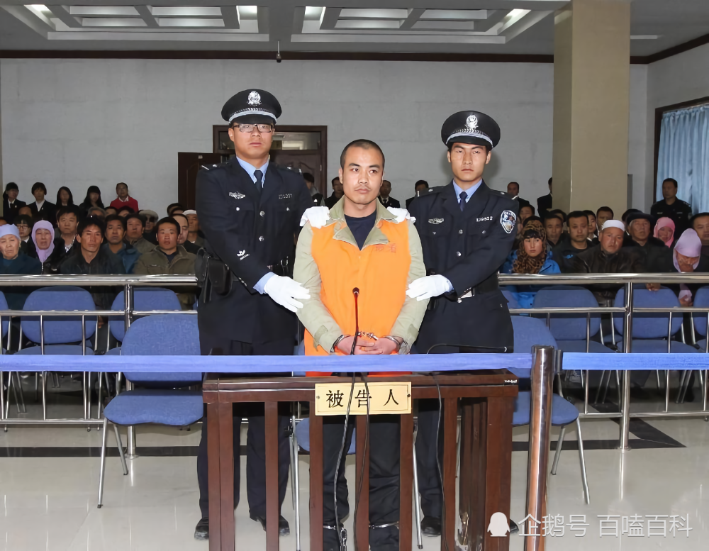 宁夏特大杀人案始末妻子太会花钱凶手气不过连杀7人