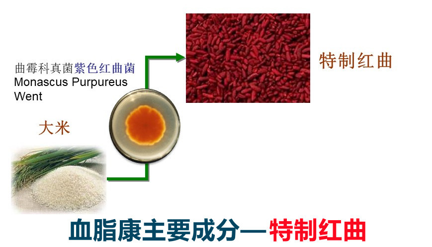 红曲,是大米染上红曲菌,发酵之后形成的.