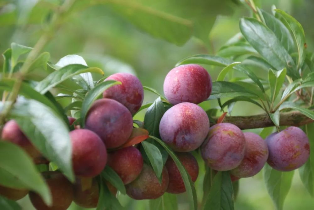 融媒记者:安恒编辑:安   恒编审:王忠平签发:文   皓