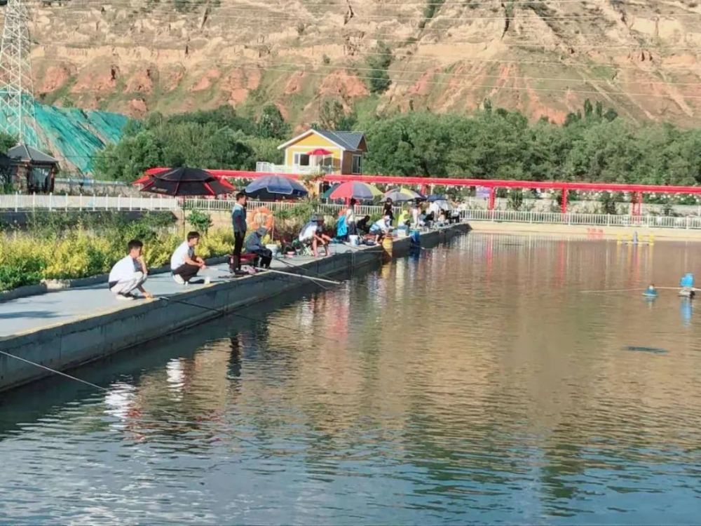 渔乐湾生态园(渔乐湾生态园怎么样)