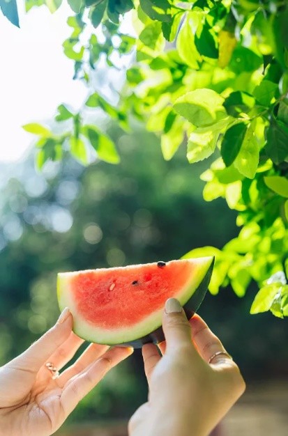 立秋过后不论白天的阳光多么热烈夜晚的风已经带上丝丝凉意从此以后