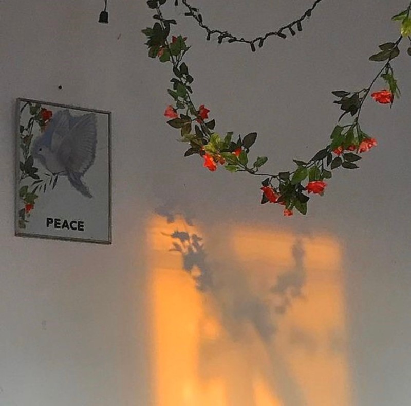 raw-image