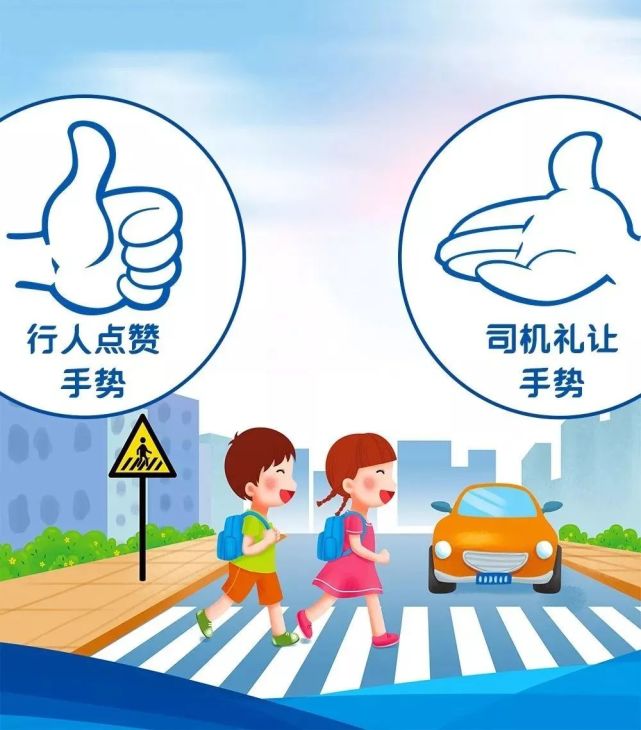 交通安全小知识礼让斑马线的正确打开方式