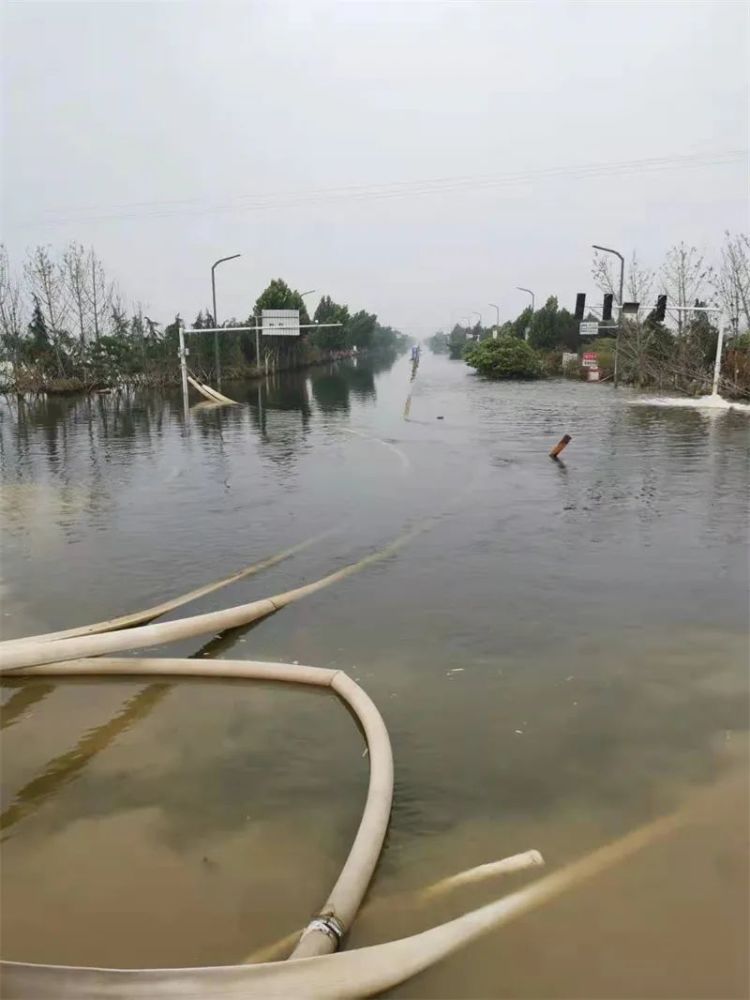 浚县河道洪水全部归槽各水文站水位回落