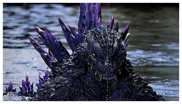 南极"哥斯拉"事件,专家的解释难以信服,是否真有怪兽?