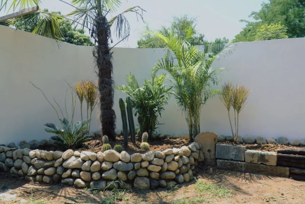 我敢说我们是全网最会玩石头的人没有之一