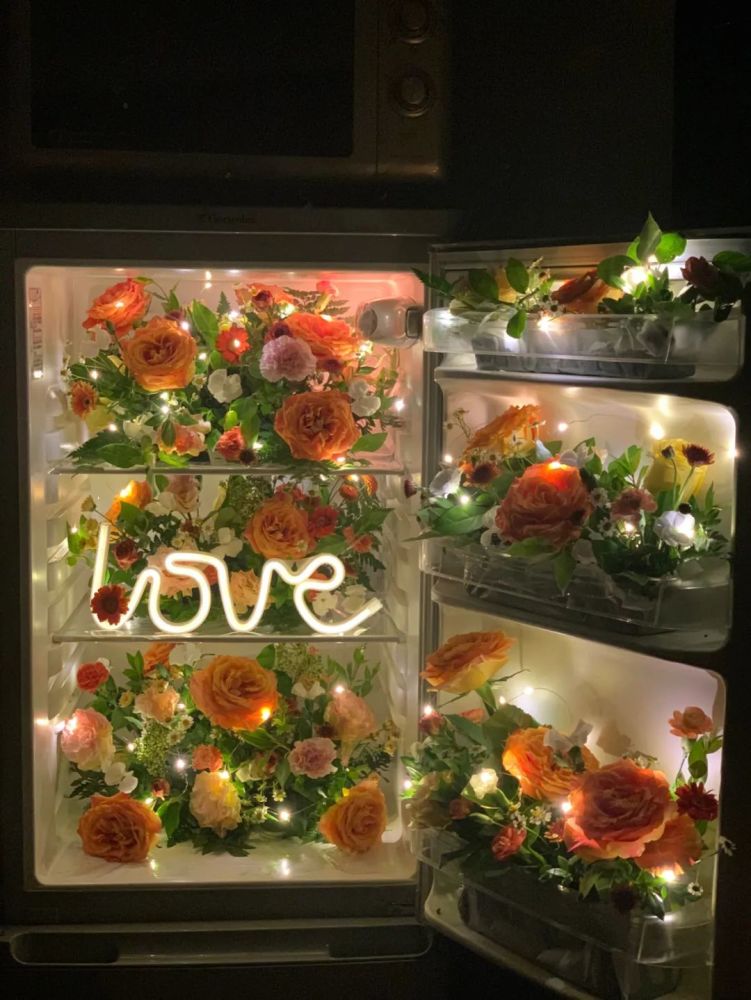 87今日文案冰箱是生活鲜花是浪漫