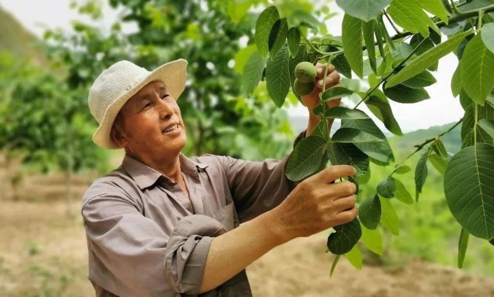 植绿不止造福桑梓记义务植树的老共产党员刘生堂