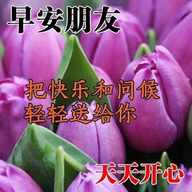 早上好朋友,暖心的漂亮早安問候圖片文字圖片,唯美早安圖片語錄_騰訊