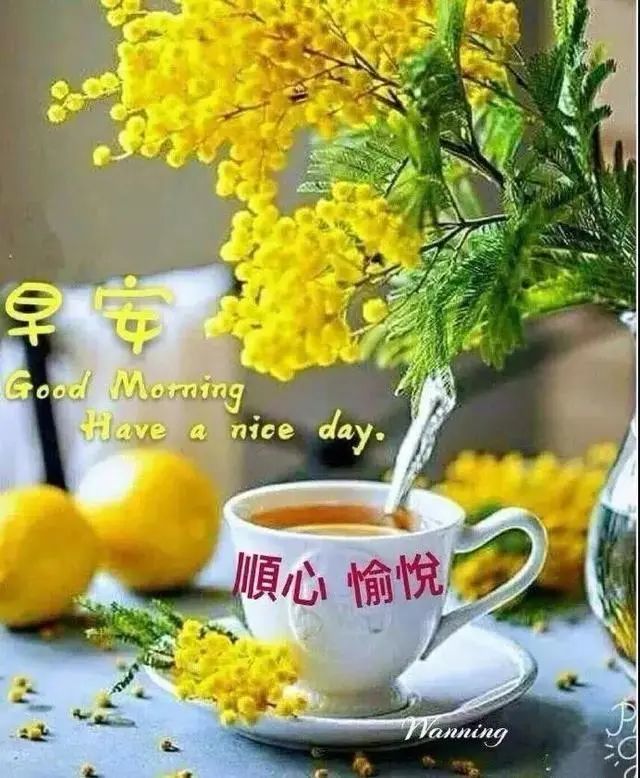 早上好朋友漂亮的美女图片表情带字温馨早安问候祝福语短信