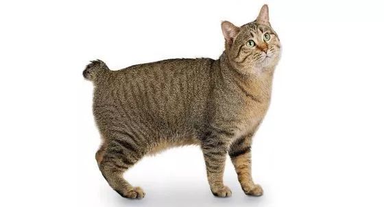 641