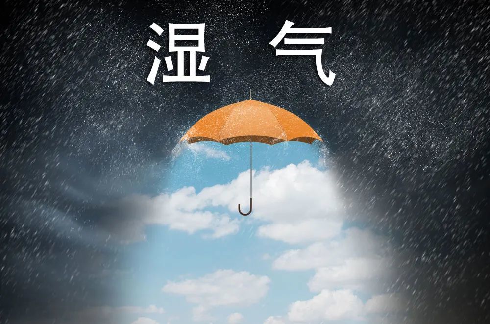 (图片源自网络 侵权联系删除)湿热重在清热除湿.